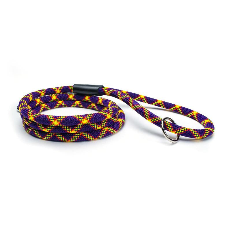 Fetchum Leash in Mardi Paw