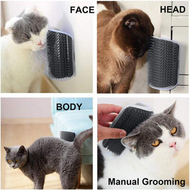 "Transform Grooming Time into Blissful Moments!"