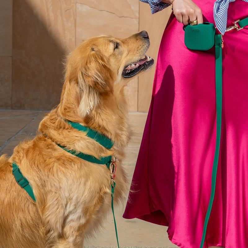 Cloud Waterproof Dog Collar Adjustable with Quick Release Buckle