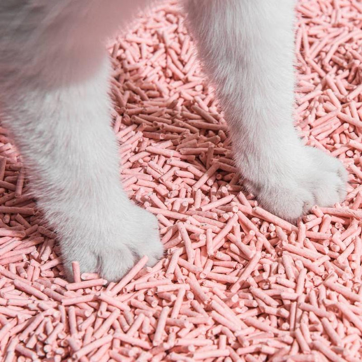 Michu Natural Clumping Tofu Cat Litter 5.5Lb/88Oz Cat Litter