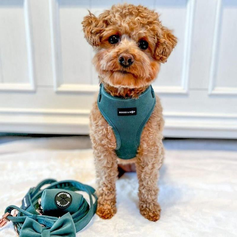 Adjustable Corduroy Dog Harness - Moss