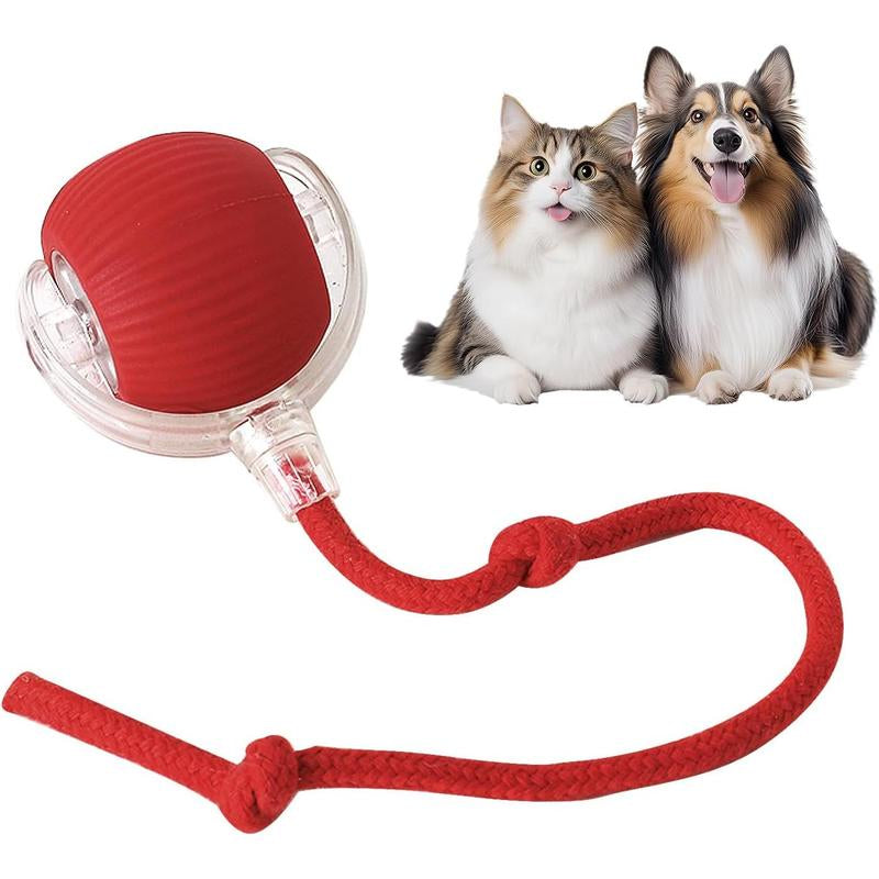 Smart Pet Toys,Gift for Pets, Electric Cat Ball Toy with Rope, Interactive Cat Teaser Toy, Kitten Automatic Rolling Ball Toy, Pet Supplies, Dog & Cat Accessories, Cat Toys, Pet Products