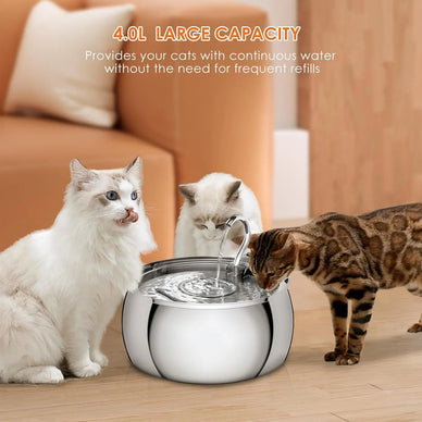 "Revolutionize Your Pet's Hydration Experience"