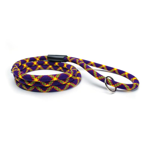 Fetchum Leash in Mardi Paw