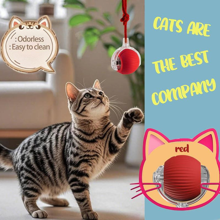 Smart Pet Toys,Gift for Pets, Electric Cat Ball Toy with Rope, Interactive Cat Teaser Toy, Kitten Automatic Rolling Ball Toy, Pet Supplies, Dog & Cat Accessories, Cat Toys, Pet Products