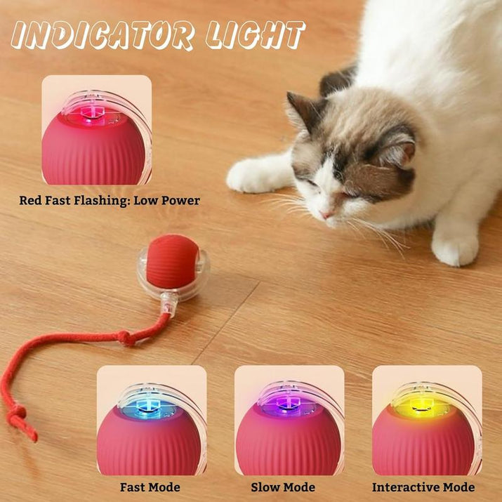 Smart Pet Toys,Gift for Pets, Electric Cat Ball Toy with Rope, Interactive Cat Teaser Toy, Kitten Automatic Rolling Ball Toy, Pet Supplies, Dog & Cat Accessories, Cat Toys, Pet Products