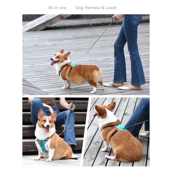 A59T 2-In-1 No Pull Dog Harness with Retractable Leash,Automatic anti Burst Impact Function,Adjustable Breathable Dog Vest,Xs