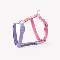 Strap Dog Harness