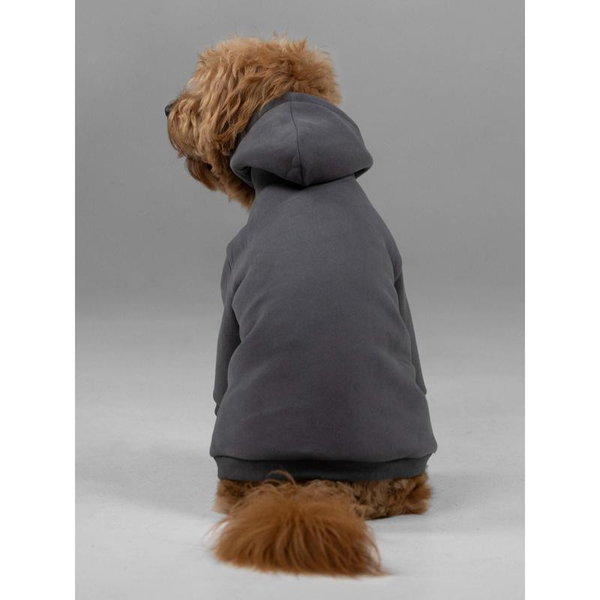 Comfrt | Signature Paw Hoodie | for Stress & Anxiety