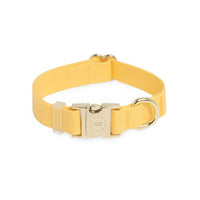 Cloud Waterproof Dog Collar Adjustable with Quick Release Buckle