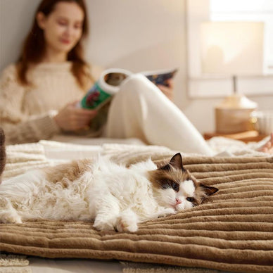 "Embrace Cozy Comfort for Your Beloved Companion"