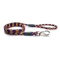Fetchum Leash in Mardi Paw