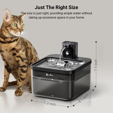 "Keep Your Furry Friend Happy and Hydrated!"