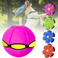 Pet Dog Toys Flying Saucer Ball Magic Deformation